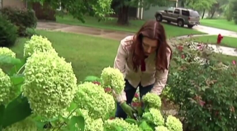 Skyscaper to Landscaper March 13 2015 YouTube